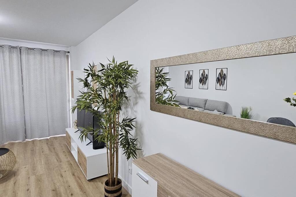 Apartament Vista Mar - Ac, Parking And Pool Funchal  Zewnętrze zdjęcie